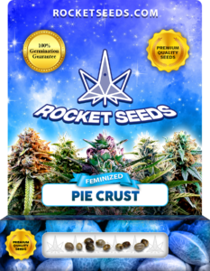 Pie Crust Strain Feminized Marijuana Seeds