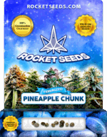 Pineapple Chunk Strain Feminized Marijuana Seeds
