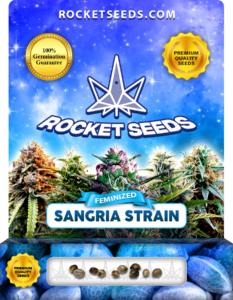 Sangria Strain Feminized Marijuana Seeds