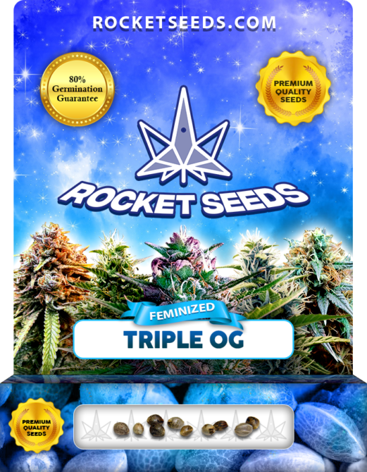 Triple OG Strain Feminized