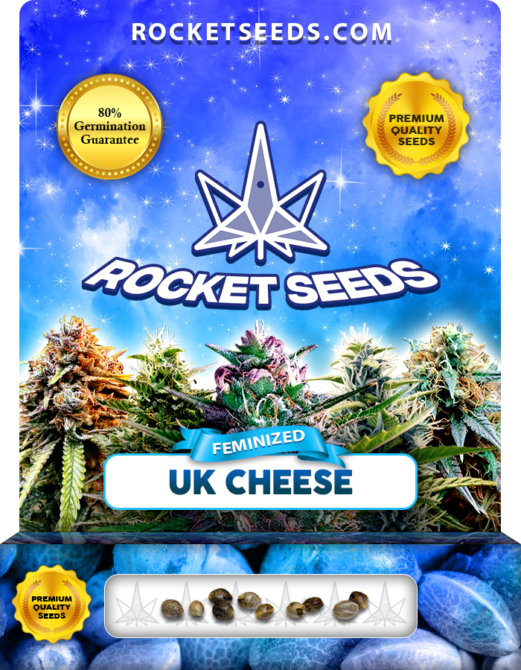 UK Cheese Strain Feminized