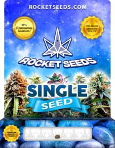 RocketSeeds FREE Single Seed