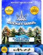 Black Cherry Cheesecake Strain Feminized Marijuana Seeds