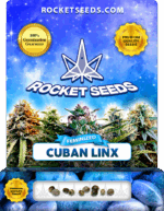 Cuban Linx Strain Feminized Marijuana Seeds
