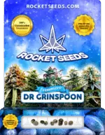 Dr Grinspoon Strain Feminized Marijuana Seeds