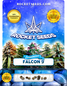 Falcon 9 Strain Feminized Marijuana Seeds