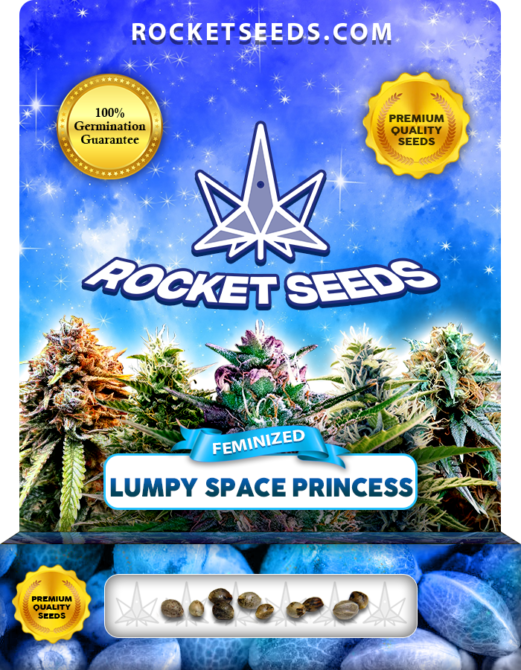 Lumpy Space Princess Strain Feminized