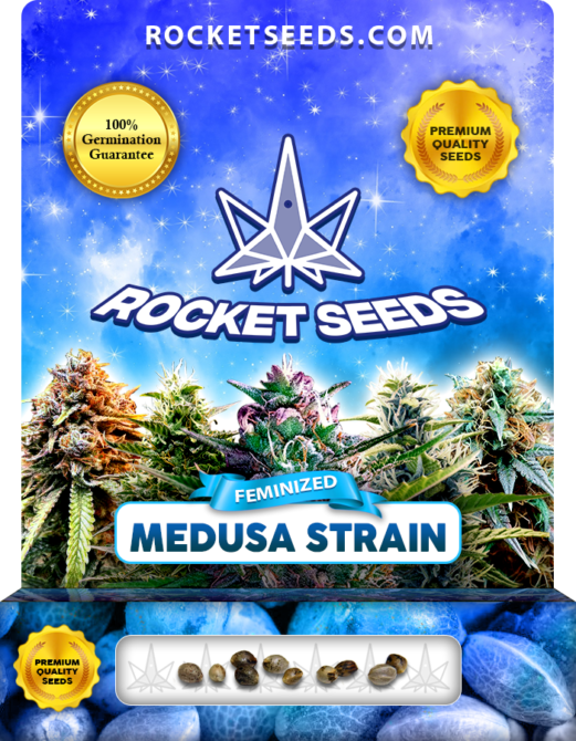 Medusa Strain Feminized