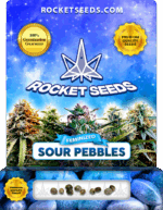 Sour Pebbles Strain Feminized Marijuana Seeds