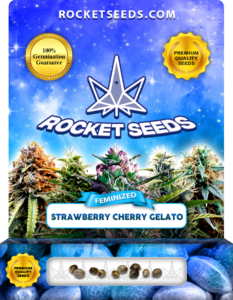 Strawberry Cherry Gelato Strain Feminized Marijuana Seeds