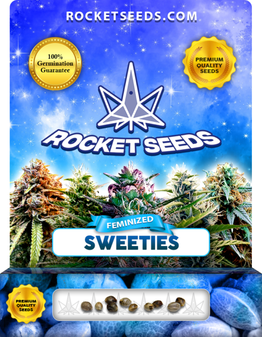 Sweeties Strain Feminized