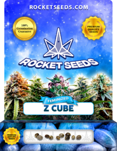 Z Cube Strain Feminized Marijuana Seeds