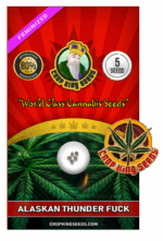 Alaskan Thunder Fuck Strain Feminized Marijuana Seeds