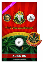 Alien OG Strain Feminized Marijuana Seeds