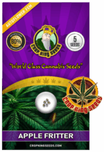 Apple Fritter Strain Autoflowering Marijuana Seeds
