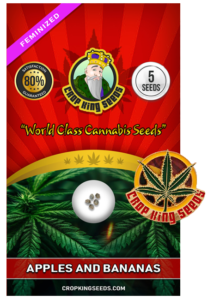 Apples and Bananas Strain Feminized Marijuana Seeds