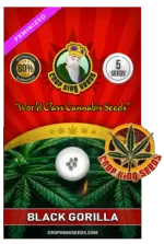 Black Gorilla Strain Feminized Marijuana Seeds