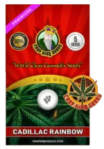 Cadillac Rainbow Strain Feminized Marijuana Seeds
