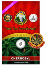 CKS Chernobyl Strain Feminized Marijuana Seeds