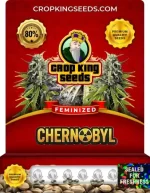 Chernobyl Strain Feminized