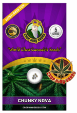 Chunky Nova Strain Autoflowering Marijuana Seeds