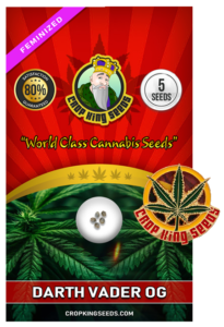 Darth Vader OG Strain Feminized Marijuana Seeds