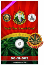 CKS Do-si-dos Strain Feminized Marijuana Seeds