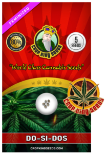 Do-si-dos Strain Feminized Marijuana Seeds