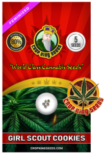 Girl Scout Cookies Strain Feminized Marijuana Seeds