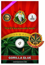 Gorilla Glue Strain Feminized Marijuana Seeds