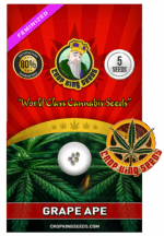 Grape Ape Strain Feminized Marijuana Seeds