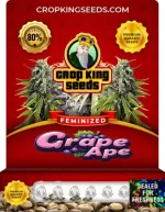 Grape Ape Strain