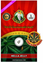 CKS Hella Jelly Strain Feminized Marijuana Seeds