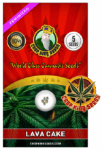 Lava Cake Strain Feminized Marijuana Seeds -CKS