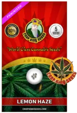 CKS Lemon Haze Feminized Marijuana Seeds