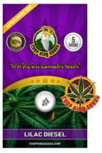 Lilac Diesel Strain Autoflowering Marijuana Seeds
