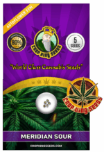 Meridian Sour Strain Autoflowering Marijuana Seeds