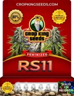 RS11 Strain Feminized