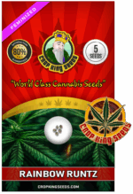 Rainbow Runtz Strain Feminized Marijuana Seeds