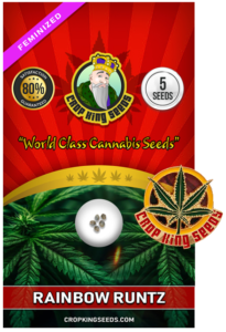 Rainbow Runtz Strain Feminized Marijuana Seeds