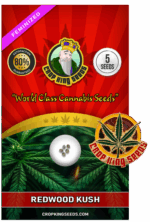 Redwood Kush Fast Version Marijuana Seeds