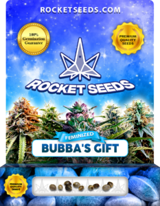 Bubba’s Gift Strain Feminized Marijuana Seeds