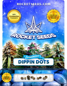 Dippin Dots Strain Feminized Marijuana Seeds