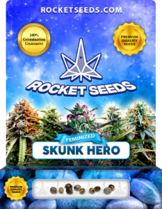 Skunk Hero Strain Feminized Marijuana Seeds