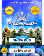 Snow Bud Strain Feminized Marijuana Seeds