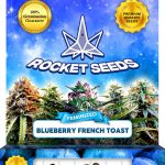 Blueberry French Toast Strain Feminized