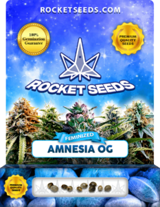 Amnesia OG Strain Feminized Marijuana Seeds