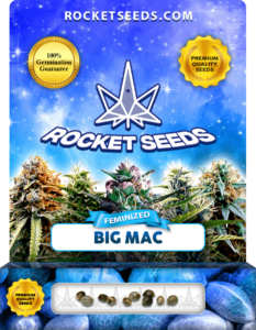 Big Mac Strain Feminized Marijuana Seeds