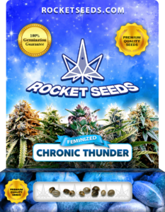 Chronic Thunder Strain Feminized Marijuana Seeds