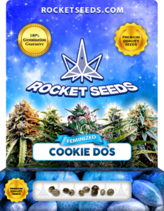 Cookie Dos Strain Feminized Marijuana Seeds